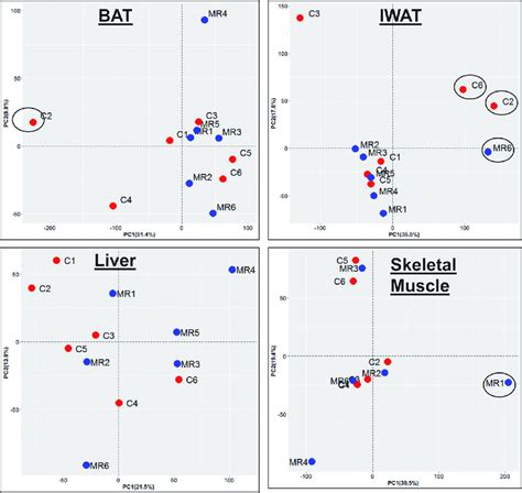 Principal Components Analysis On Sage Data Pca Was Performed On Deseq2 Download Scientific