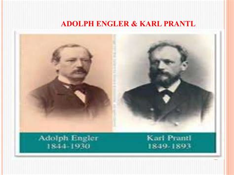 Engler And Prantl System Of Classification In Plant Taxonomy PPT