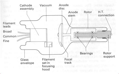 X Ray Tube Diagram Quizlet