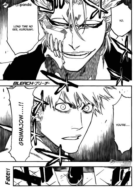 Bleach Manga Bleach Anime Bleach Anime Ichigo