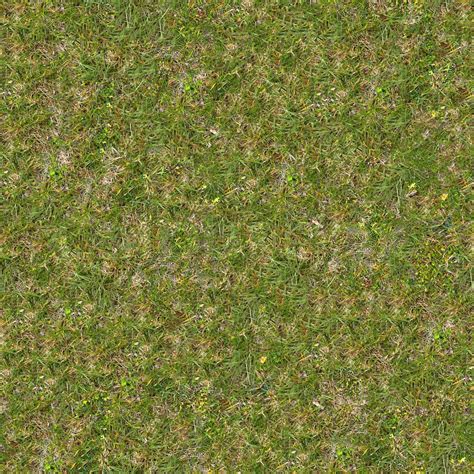 Dry Grass Texture Seamless