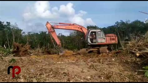 BEGINI CARA EXCAVATOR LAND CLEARING YouTube