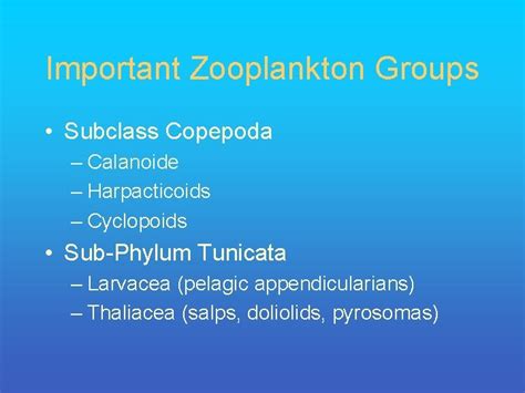 Zooplankton Fall 2006 Plankton Classification Plankton Holoplankton Meroplankton