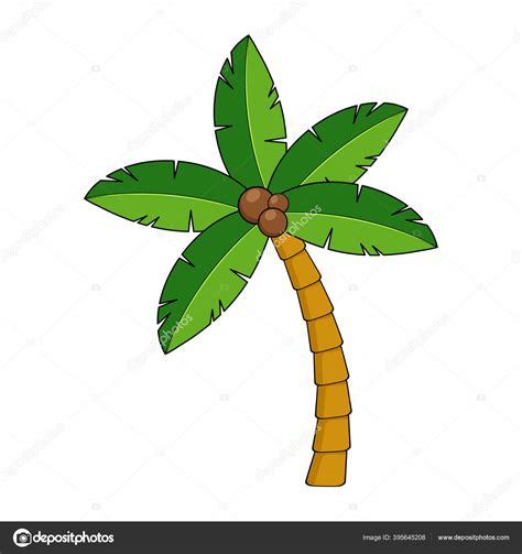 Caricatura Palma Coco Aislada Blanco Clipart Palmeras Tropicales