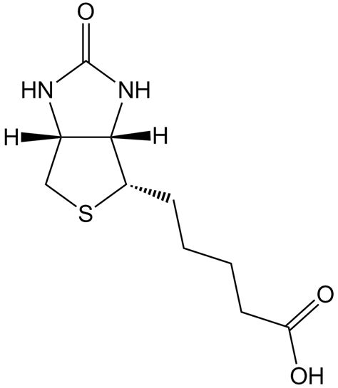 APExBIO - Biotin|Lysine probe coupled to mass spectrometry detection ...