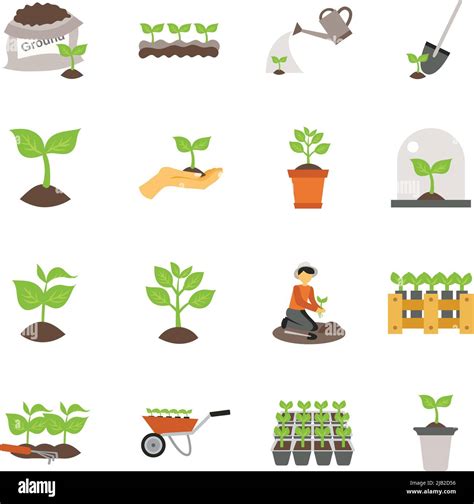 Flowers And Plants Seedling Process Flat Icons Set Isolated Vector