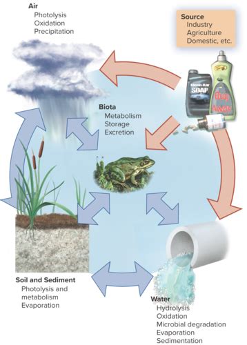 Environmental Bio Chapter 8 Environmental Bio Chapter 11