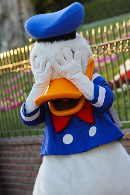 Disneyland Donald Duck