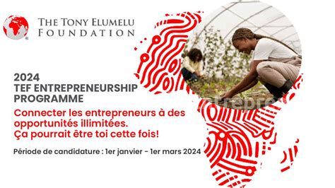 Subvention De La Fondation Tony Elumelu Pour Les Entrepreneurs Africain