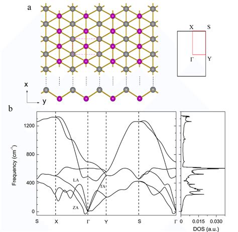 A The Buckled Crystal Structure Of Borophene And The Dashed Lines