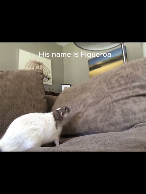 Meet Figueroa Youtube