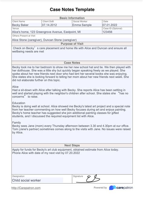 Case Notes Template And Example Free Pdf Download