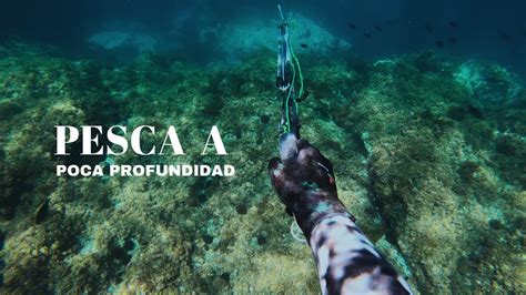 Pesca Sub A Poca Profundidad Pesca Submarina Youtube