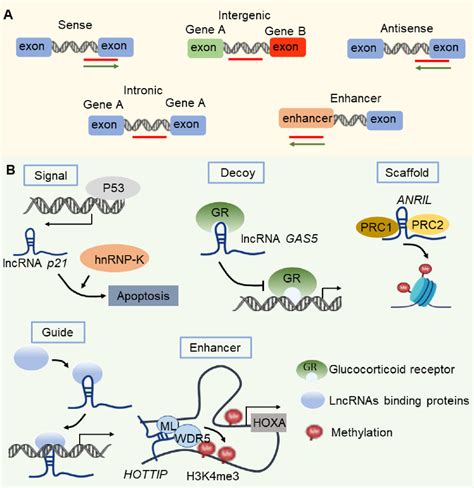 Figure 1 From Current Advancements And Future Perspectives Of Long