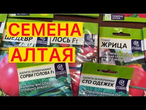 СЕМЕНА АЛТАЯ. НОВОЕ ПОСТУПЛЕНИЕ СЕЗОН 2023 - YouTube