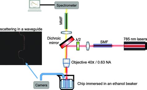 The Schematic Of An Optical Setup Used For Raman Measurements The Left