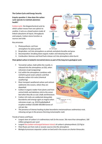 Carbon Cycle Notes Edexcel Geography A Level Teaching Resources