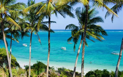 Exploring the beautiful beaches of Kenya