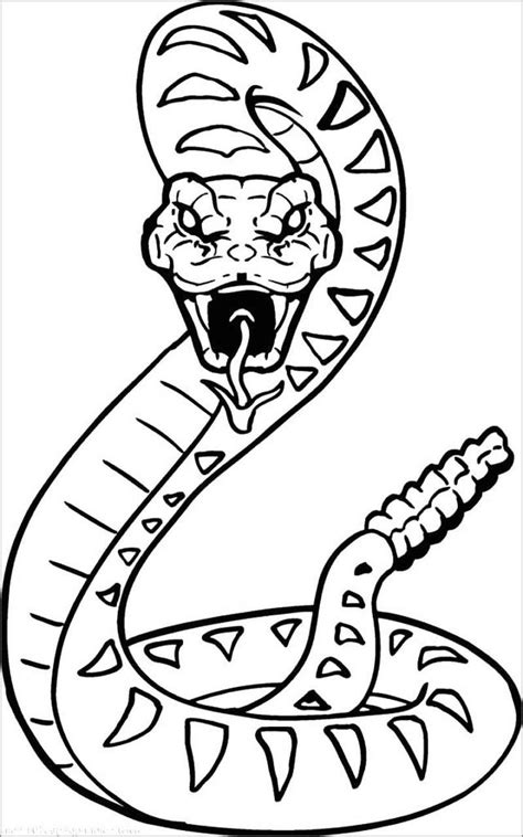 Snake Coloring Pages Coloringbay