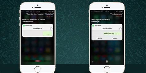 Whatsapp Adicionou Suporte Para A Siri No Ios You Get Blog