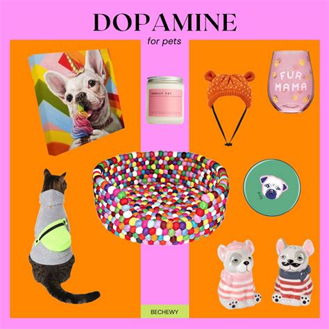 Dopamine Decorating And Dopamine Dressing For Your Pet Bechewy