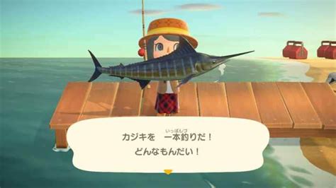 【あつ森】レア魚の出現時間帯と場所・値段【あつまれどうぶつの森】 ゲームウィズ