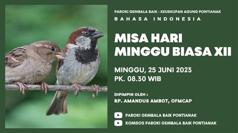 Live Misa Hari Minggu Biasa Xii Bhs Indonesia Minggu Juni