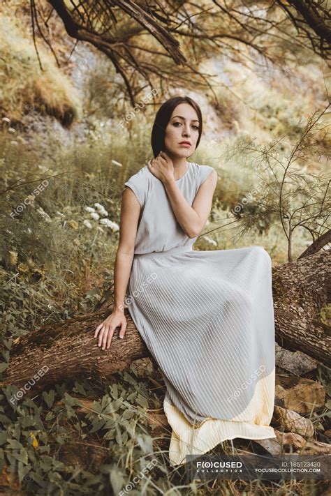 Tender Brunette Woman Posing Tree Branch At Nature Sensual People Stock Photo