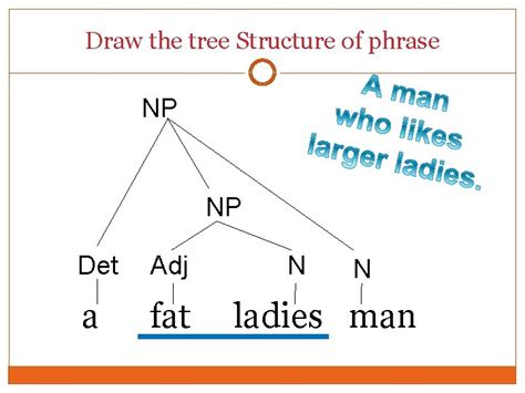 Phrase Structure Tree Diagrams Solved Draw Phrase Structur