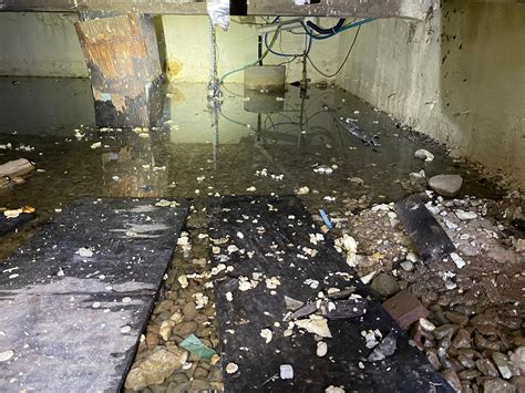 Water Damage Remediation Proenviro Llc