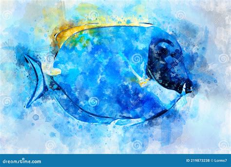 Aquarelle Illustration De La Poudre Tropique Bleu Tang Poisson