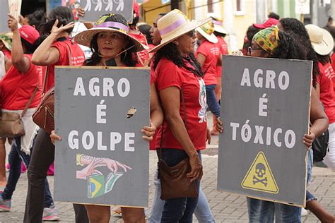 Entrevista Larissa Packer Analisa Capitalismo Verde Agroneg Cio E