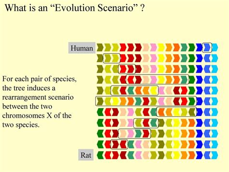 Conservation Of Combinatorial Structures In Evolution Scenarios Ppt