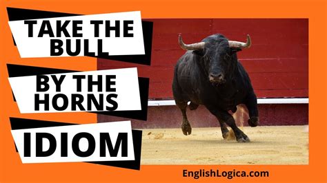 Take The Bull By The Horns Idiom Common English Idioms Business