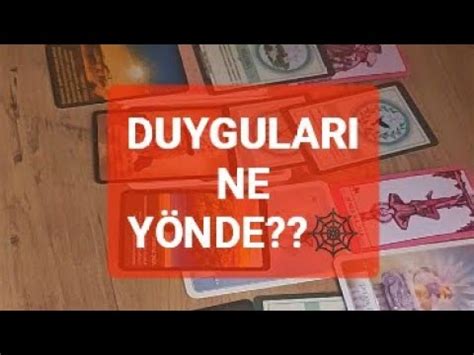 Duygular M N Kar L Var M Onun Duygusu Nedir Dedim Demez