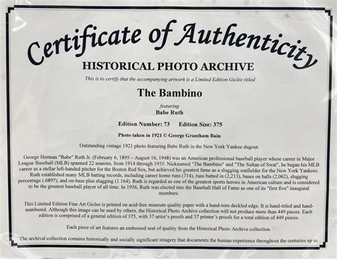 Babe Ruth LE The Bambino Custom Framed Historical Archive Giclee Pristine Auction