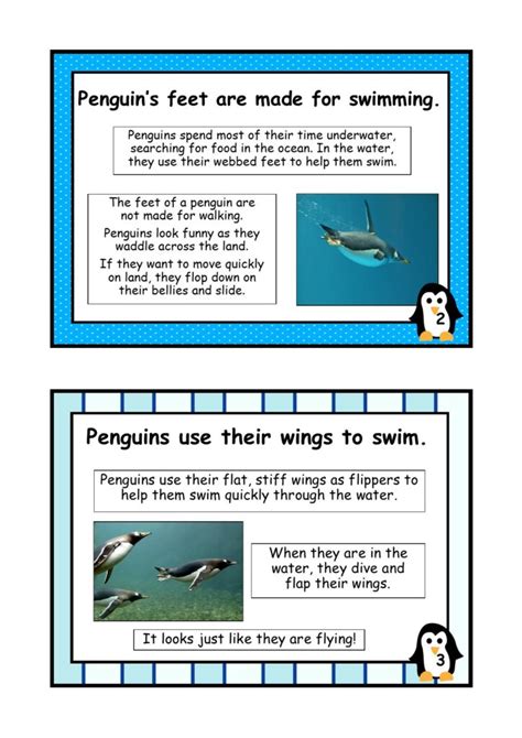 Penguin Facts Mini Book Reading Comprehension | Made By Teachers