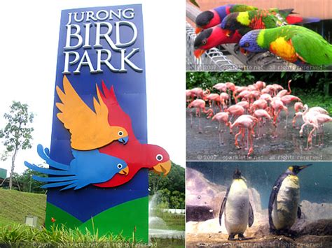 Singapore Jurong Bird Park – The Birds are Cute!