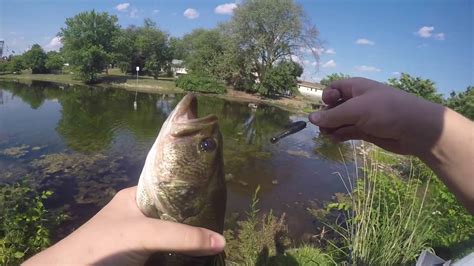 Finesse Fishing A Public Park In The Poconos Mountains Pa Youtube