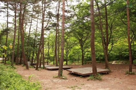 국립 희리산해송 자연휴양림 ‘해송 숲 속 영화제 무료 개최‘오늘4일까지 진행 양인정 기자 톱스타뉴스