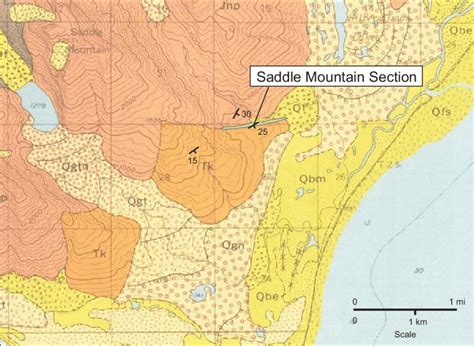 Saddle Map