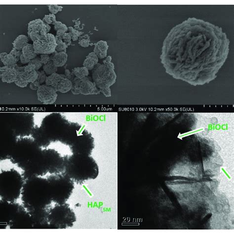 A SEM And B TEM Images Of BiOCl HAPSM A SEM And B TEM Images