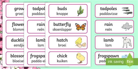 Spring Word Cards English Afrikaans Teacher Made