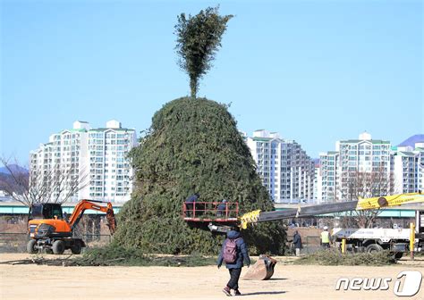 금호강 정월대보름 축제 4년 만에 재개 네이트 뉴스