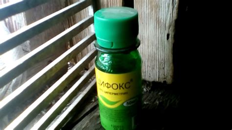 Отзыв о Цифокс. Как действует препарат - YouTube