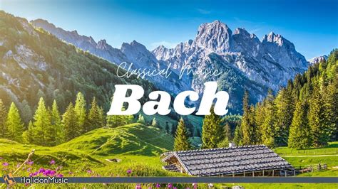 Bach Relaxing Classical Music YouTube Music