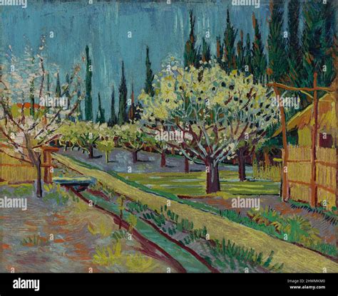 Orchard Bordered By Cypresses Artist Vincent Van Gogh Dutch Active