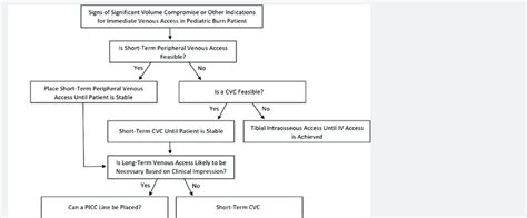 Treatment algorithm for pediatric burn patients requiring intravenous ...