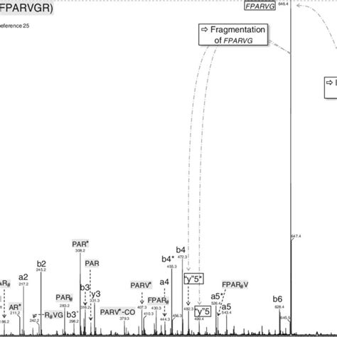 Esi Ms Ms Spectra Upon Cid Of The M H Precursor Ion Of A Peptide