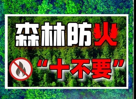 积极应对森林草原火险预警 重庆市多措并举守护森林安全凤凰网重庆凤凰网